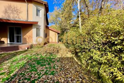 Duplex cu 4 camere cu Canalizare în Iancu Nicolae - 42