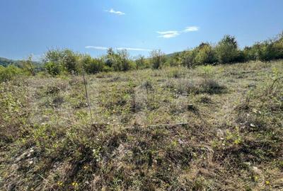 Teren intravilan, 15 arii, pretabil pentru investitii, const - 6