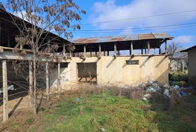 Casă individuală cu 4 camere cu Teren 1634 Mp în Vasile Alecsandri - 4