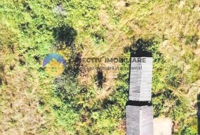 Teren agricol intravilan de 3260 mp, în Chintinici - 6