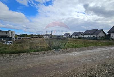 Teren intravilan 720mp Lisaura / Ipotesti, Suceava - 6