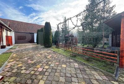 Vand casa cu 4 camere in Orastioara de Jos - 10
