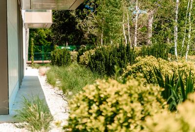 APARTAMENT 3 CAMERE - PIPERA - COMISION 0% - 17