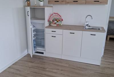 Casă cu 2 camere în Mineu - 5