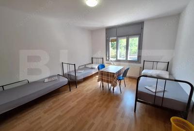 Vila mare, curte, 11 camere, 5 bai, mobilata, Cetatii/Timisoara - 3