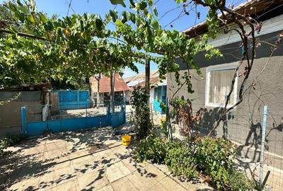 Casa Jiana Veche - 1