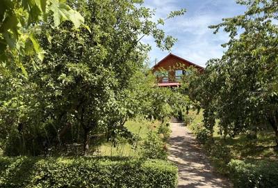 Casă cu Teren 537 Mp în Central - 10