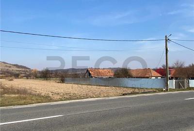 RECO Teren intravilan in Uileacul de Cris 3544mp - 5