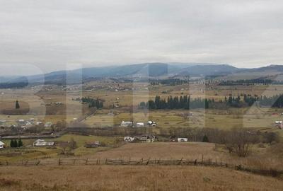 Teren de 50000 mp, în Șaru Dornei - 2