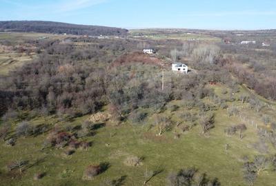 Teren agricol extravilan de 20146 mp, în Dâmbul Rotund - 8