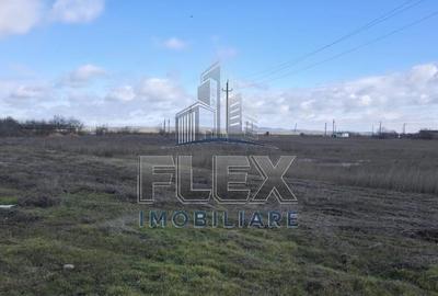 Teren de 38300 mp, în Valea Nucarilor - 7