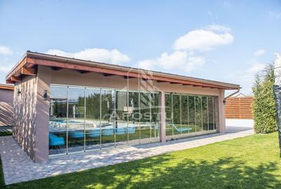 Vila,Piscina,teren fotbal,gradina,vegetatie - 18
