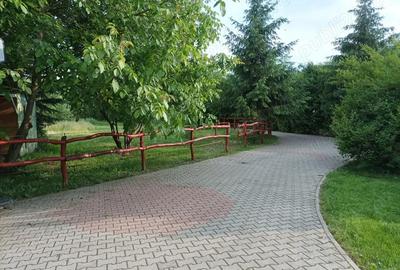 Casă cu 4 camere în Brădești - 1