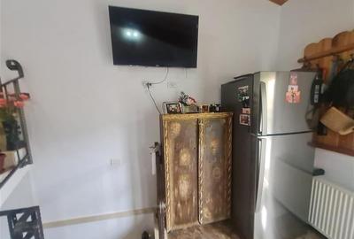 Proprietate cu 3 corpuri, curte individula, potential regim hotelier, Craiter, B - 7