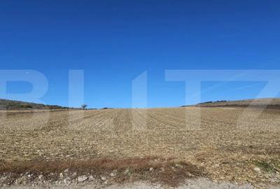 Teren de 17000 mp, în Almașu Mic - 3