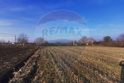 Teren intravilan 4400 mp sau parcele Teren intravilan 4400 mp sau parcele - 1