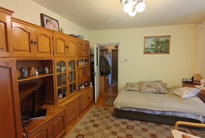 Apartament cu 3 camere semidecomandat, mobilat în Cedonia - 4