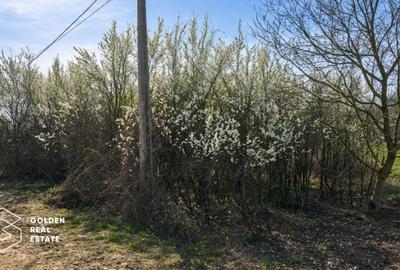 Teren Construcții intravilan de 1080 mp, în Vest - 3