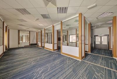 Zero comision, 280mp birou - productie, studio foto Banu Manta, 13'[M] - 3