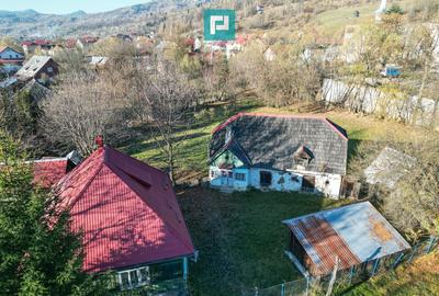 Casa de lemn, cu teren in Bor?a - 9