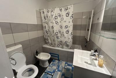 Garsonieră în Podgoria - 5