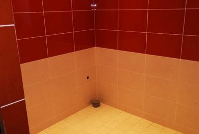 Vila P+E, Stefanesti - Cetate, teren 543 mp - 27
