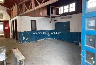 Teren intravilan în Giurgiului - 7