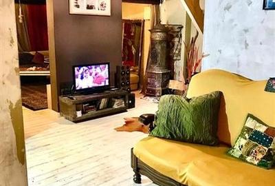 FILM! In Bohemian Style, loc parcare, curte proprie,vedere panoramica, Cartiieru - 40