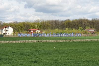 Teren langa padure si utilitati,800 mp - 17