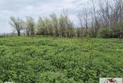 Spațiu comercial, în Straja - 5