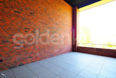 Apartament Loft spatios cu 4 camere | terasa 32mp - 27