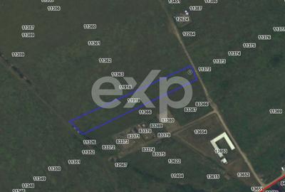 Teren agricol extravilan de 4266 mp, în Albota - 1