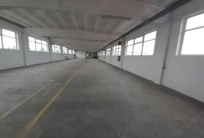 Spațiu comercial, de 2,050 mp, în Mihai Bravu - 11