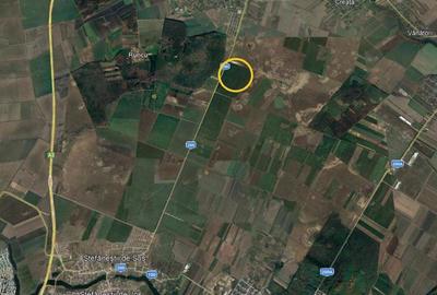 Teren de 52500 mp, în Ștefăneștii de Jos - 2