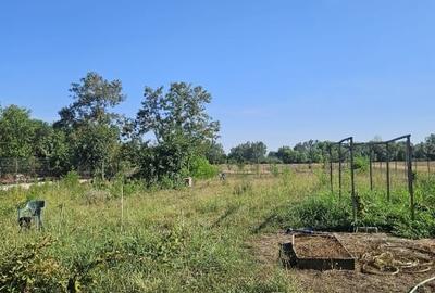 Proprietate imobiliara casa și teren în Criva de Sus - 9