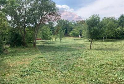 Teren de vanzare 990mp in Barzava, jude?ul Arad - 1