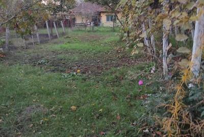 Casă în Central - 5