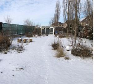 Reședință exclusivistă cu piscină, grădină matură și intimitate deplină - 9