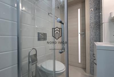 Apartament cu 3 camere decomandat, mobilat în Domenii - 5