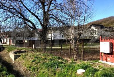 Teren de 5300 mp, în Voinești - 1