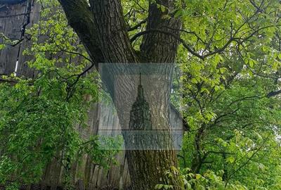 Casa batraneasca de vanzare in Tarlungeni - 11