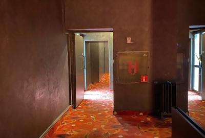 REC3000127 Spatiu Comercial cu vitrina la bulevard 300 mp Mihalache - 8