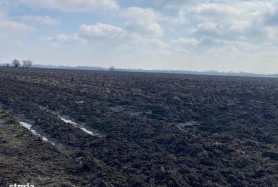 Teren de 9103 mp, în Răzvad - 3