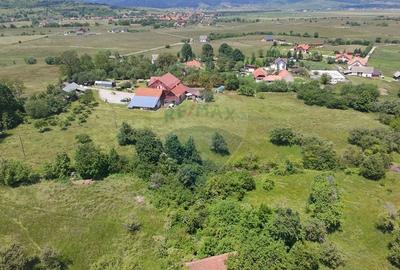Teren Construcții intravilan de 4600 mp, în Bran - 7