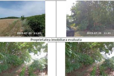 Teren padure, cota de 1/48 Horgesti, ID: R2325871 - 2