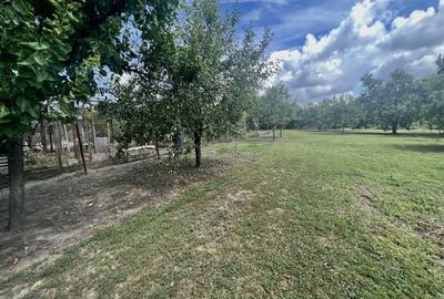 CASA CU TEREN GENEROS- 1.593 MP - 5