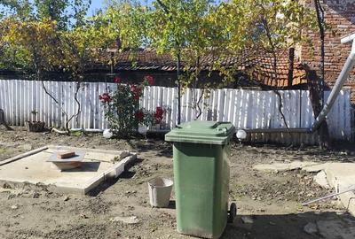 Stefanestii de Jos - 5