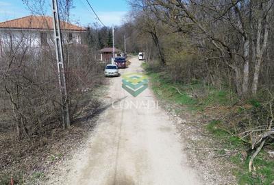 Teren Construcții intravilan de 2000 mp, în Balotești - 3