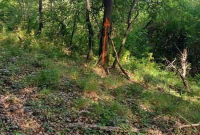 Teren de 3200 mp, în Ilovăț - 2