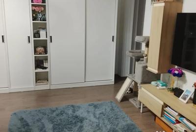 Apartament cu 3 camere decomandat în Pajura - 9
